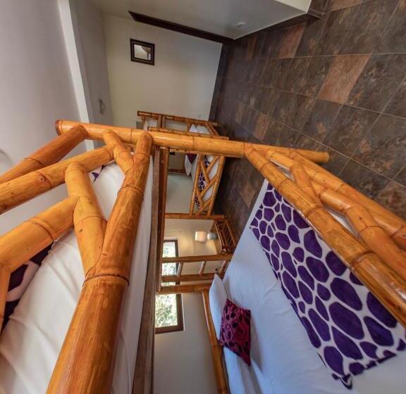 تختخواب در اتاق مشترک, Paradise Project Hostal