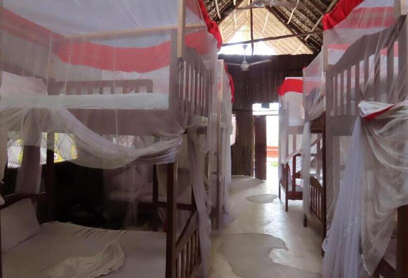 Cama em Quarto Compartilhado, Drifters Zanzibar