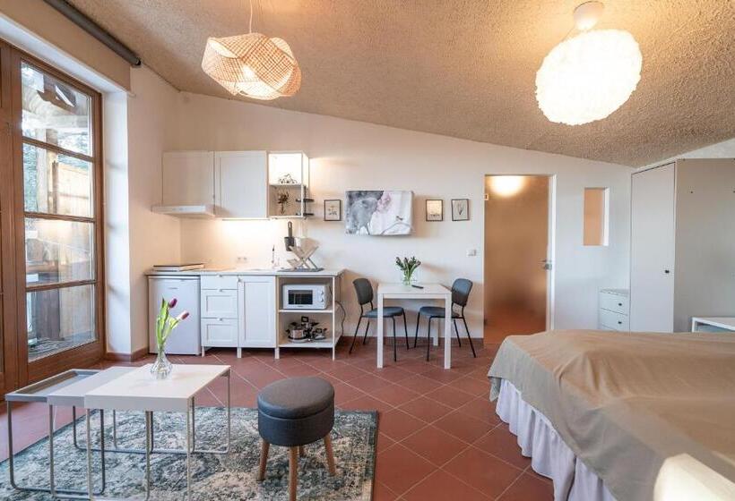 استودیوی استاندارد, Schloss Castel Pienzenau   Guestrooms & Apartments   B&b Hotel & Restaurant