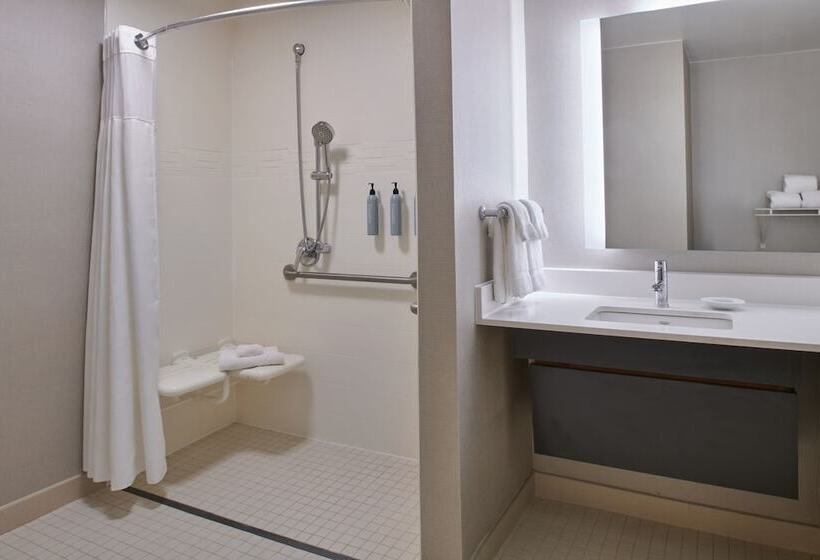 סוויטה מותאמת לאדם עם מוגבלויות, Residence Inn By Marriott Detroit / Novi
