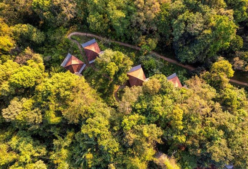Номер Стандарт, Living Heritage Koslanda