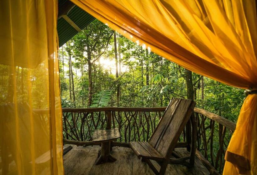 Basic Tent, La Tigra Rainforest Lodge