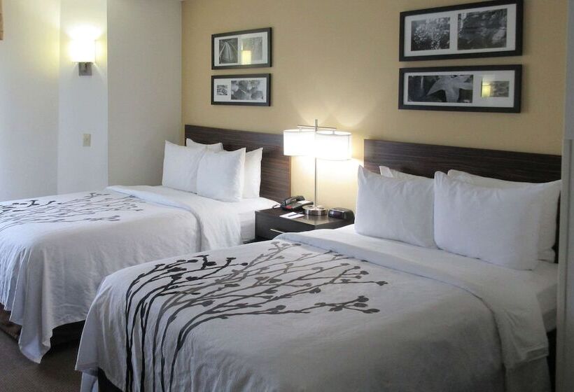 اتاق استاندارد با 2 تخت دوبل, Sleep Inn