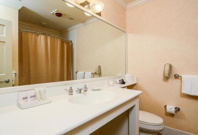 اتاق لوکس با تخت بزرگ, Stoweflake Mountain Resort & Spa