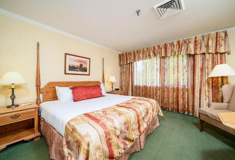 اتاق لوکس با تخت بزرگ, Stoweflake Mountain Resort & Spa