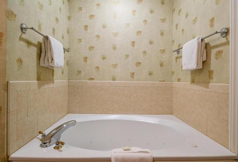اتاق لوکس, Stoweflake Mountain Resort & Spa
