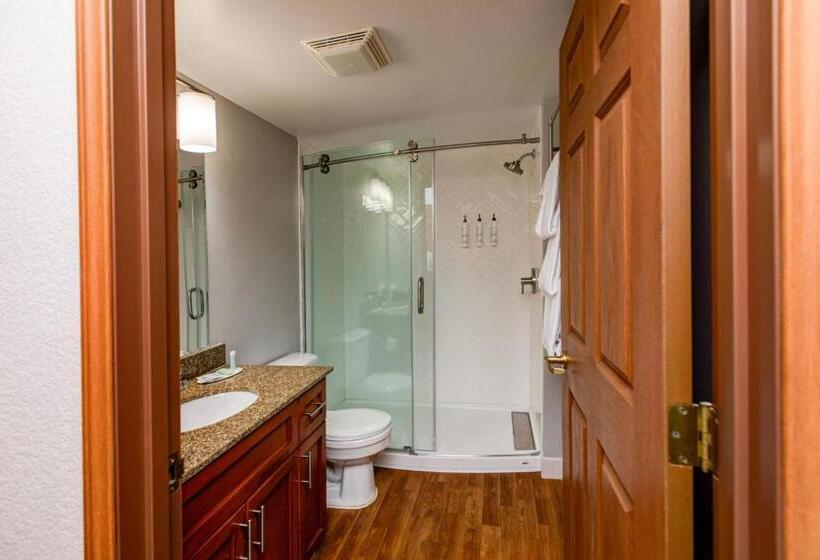 Студия Стандарт, Towneplace Suites Denver Southwest/littleton