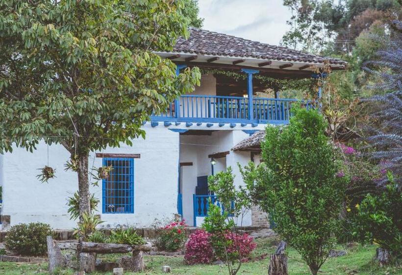 Suite with Terrace, Hacienda Pisoje