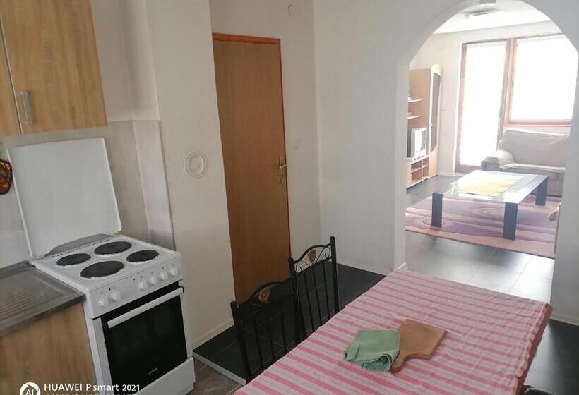 آپارتمان 1 خوابه با بالکن, Guesthouse Behar