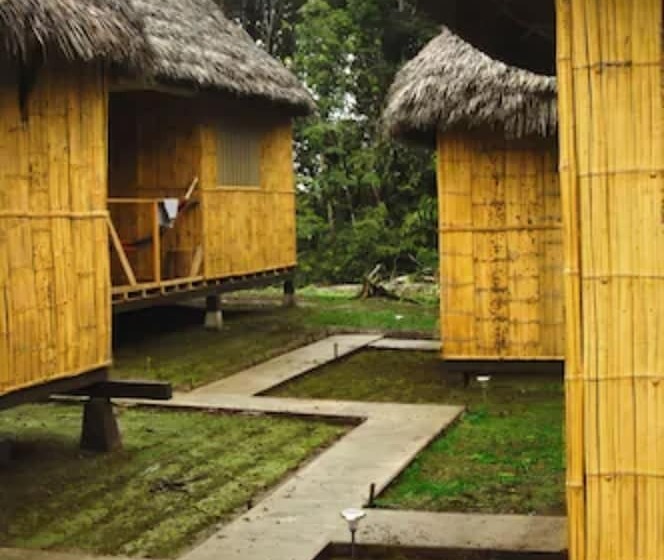 Хижина, Amazon Dolphin Lodge