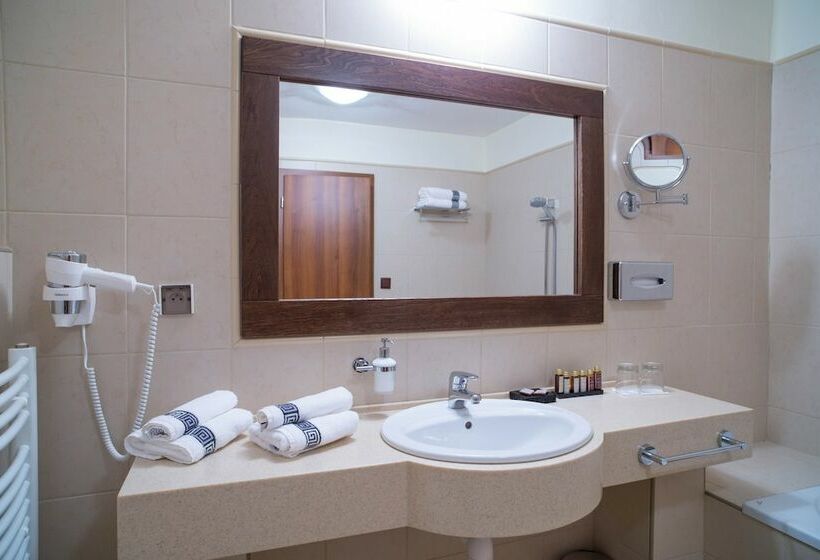 Номер Стандарт Вид на Горы, Montfort Wellness & Spa Tatranska Javorina