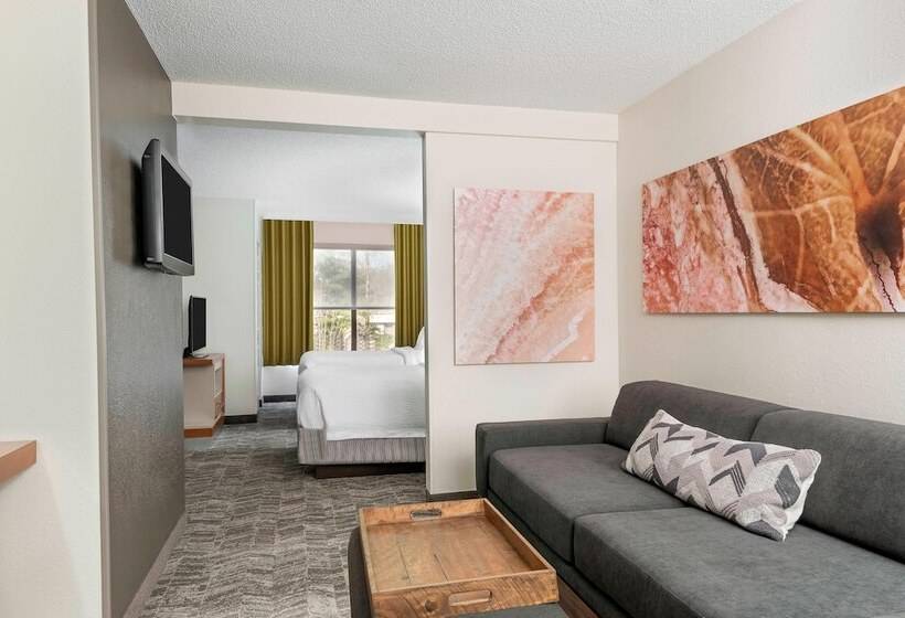 سوئیت برای معلولان, Springhill Suites Asheville