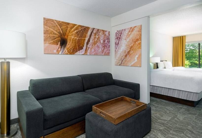 سوئیت برای معلولان, Springhill Suites Asheville