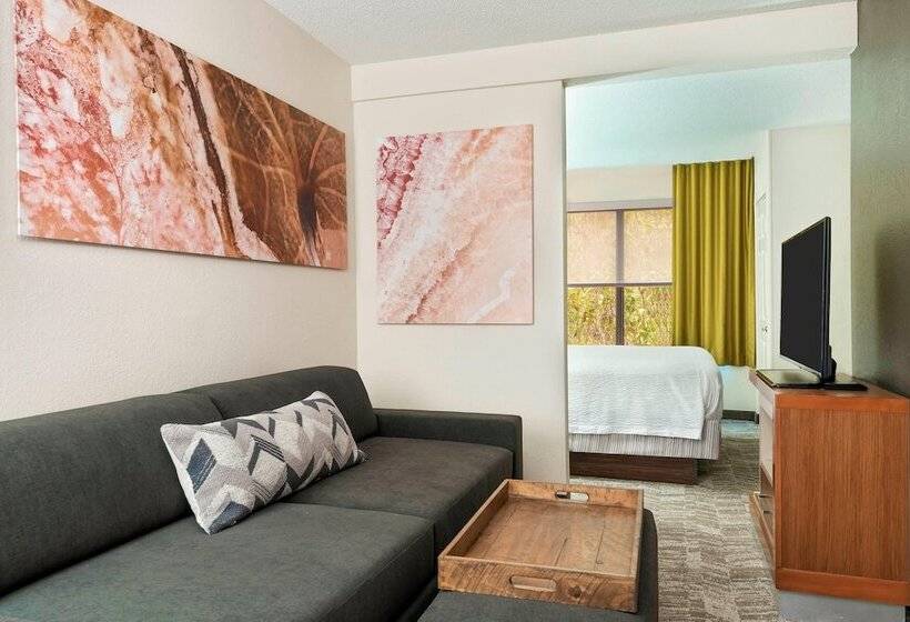 سوئیت برای معلولان, Springhill Suites Asheville