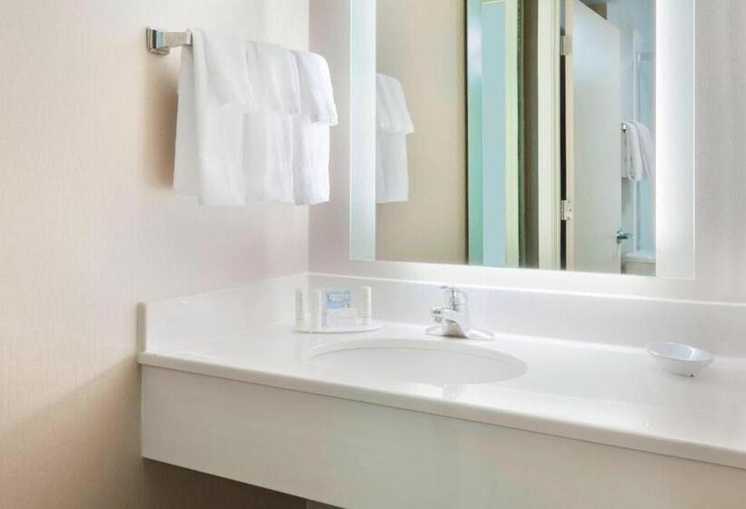 سوئیت با تخت بزرگ, Springhill Suites Asheville