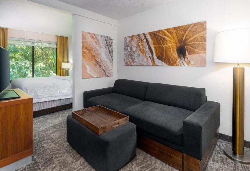 سوئیت با تخت بزرگ, Springhill Suites Asheville