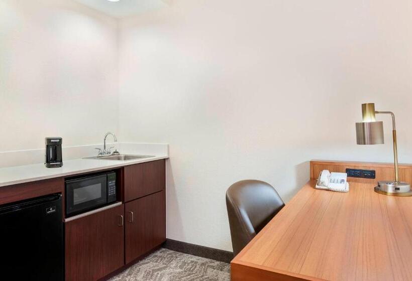 سوئیت با تخت بزرگ, Springhill Suites Asheville