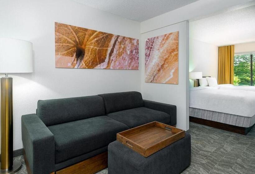 سوئیت برای معلولان, Springhill Suites Asheville