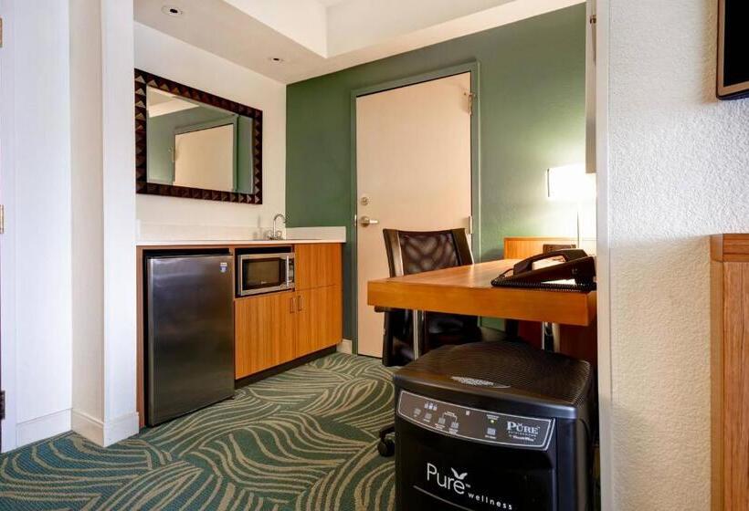 스탠다드 룸 킹사이즈 침대, Springhill Suites By Marriott Baltimore Bwi Airport
