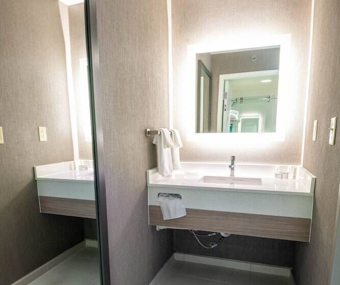 Люкс, Springhill Suites Columbus Airport Gahanna