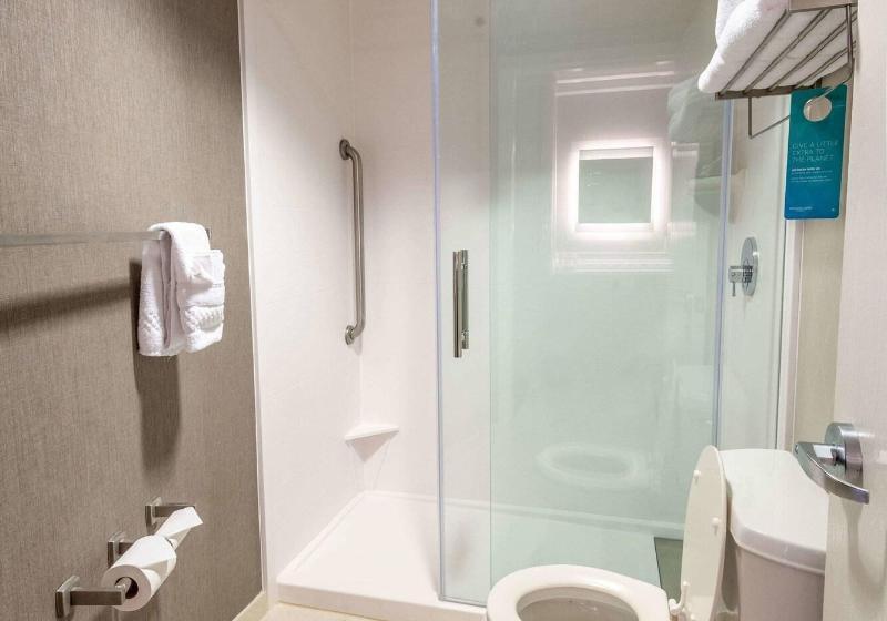 Люкс Кровать Кинг, Springhill Suites Columbus Airport Gahanna
