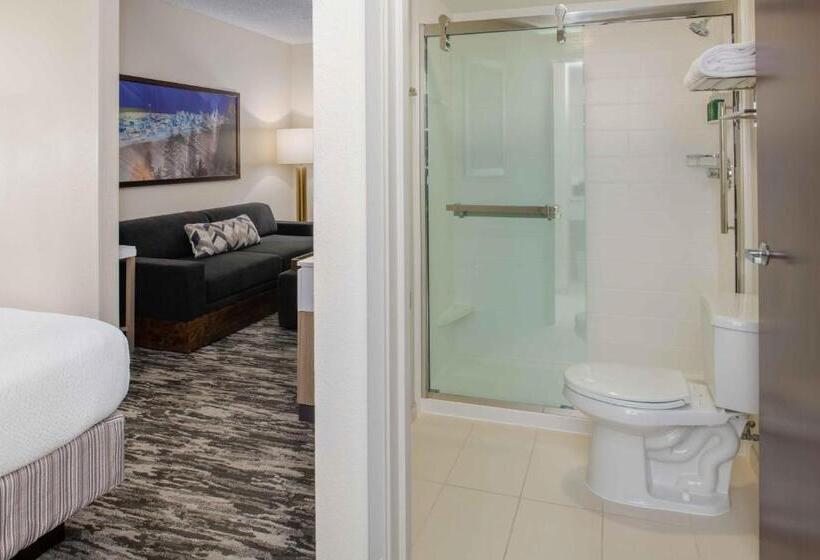 Suite, Springhill Suites Seattle Downtown, South Lake Union