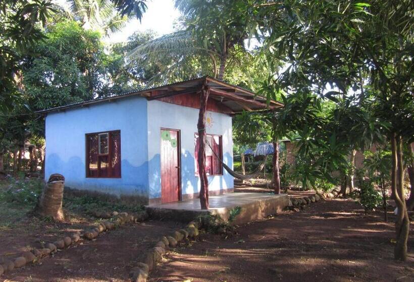 اتاق استاندارد با چشم‌انداز دریاچه, Rosa's Lake Cabins