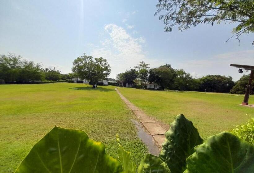 Семейный Номер, Campestre Cenvaturs