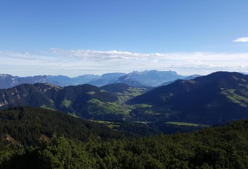 Номер Стандарт с Балконом, Berggasthof Schatzbergalm