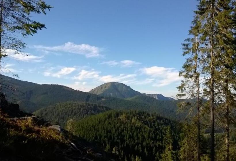 Семейный Номер, Penzión Baltazár