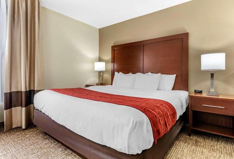Стандартный Номер Кровать Кинг, Comfort Inn & Suites Cincinnati Eastgate
