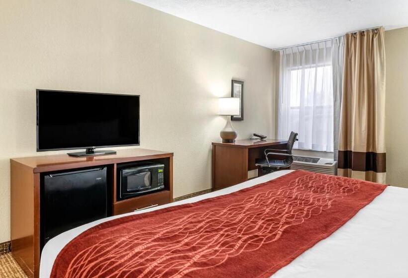 Номер Стандарт Кровать Кинг Адаптированный для Инвалидов, Comfort Inn & Suites Cincinnati Eastgate