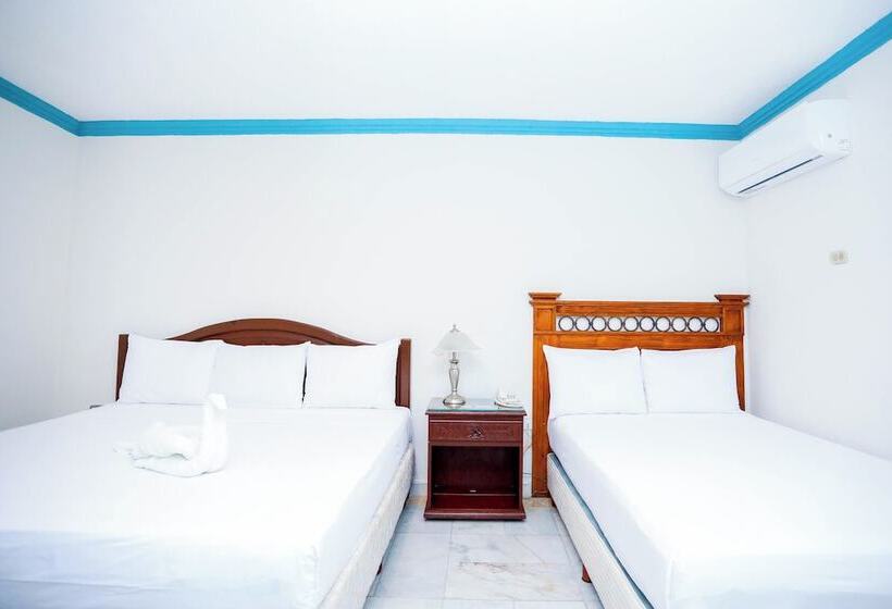 اتاق سوپریور, Avenida Cancun
