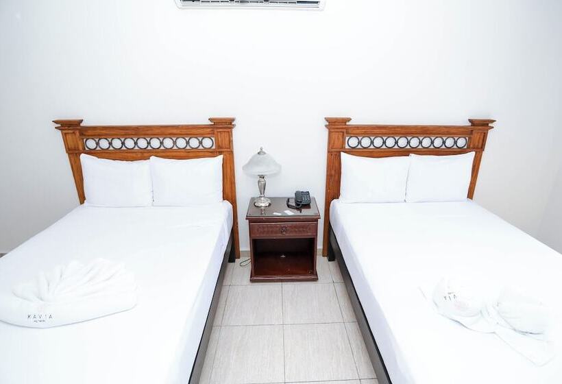اتاق استاندارد, Avenida Cancun