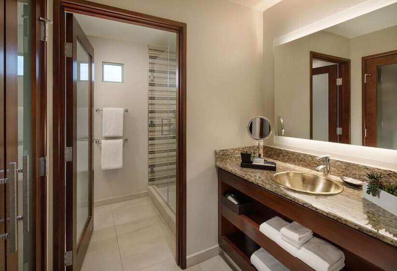 اتاق استاندارد, Grand Hyatt Scottsdale Resort