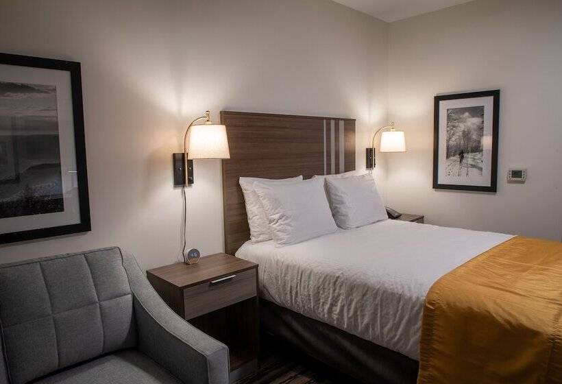 إستوديو قياسى سرير مزدوج, Corduroy Inn And Lodge, Trademark Collection By Wyndham