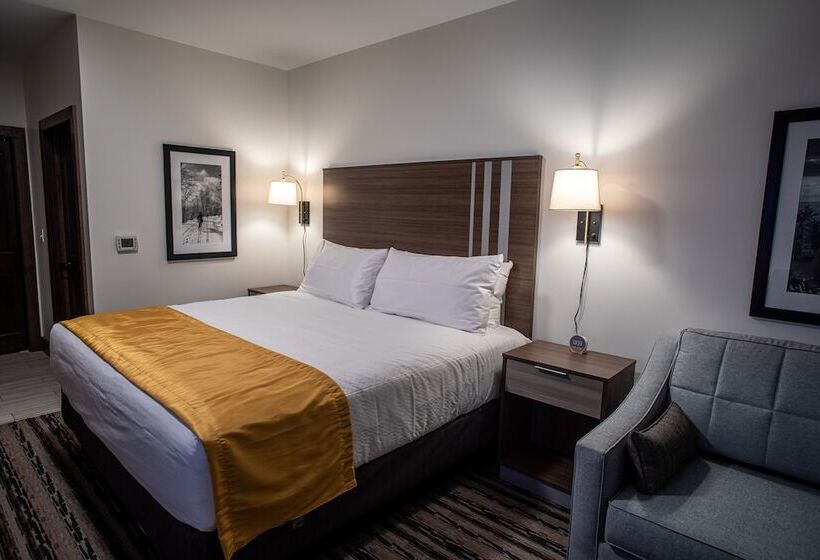 إستوديو قياسى سرير مزدوج, Corduroy Inn And Lodge, Trademark Collection By Wyndham