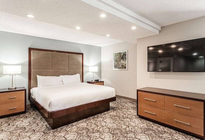 Junior Süit, Doubletree By Hilton Hotel Memphis