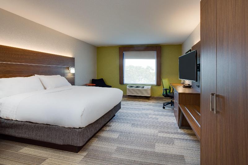 스탠다드 룸 킹사이즈 침대, Holiday Inn Express Hotel & Suites Tampa Fairgrounds Casino, An Ihg