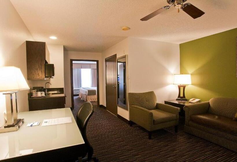 Стандартный Номер Кровать Кинг, Holiday Inn Express & Suites Chicago Deerfield Lincolnshire, An Ihg