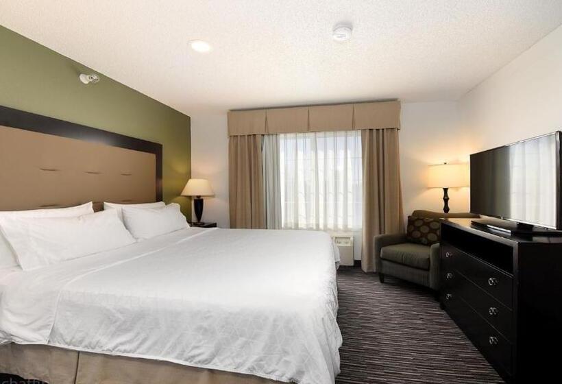 Люкс Кровать Кинг, Holiday Inn Express & Suites Chicago Deerfield Lincolnshire, An Ihg