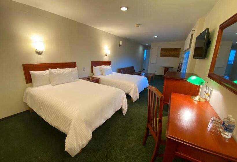 سوییت جونیور, Enterprise Inn Poliforum