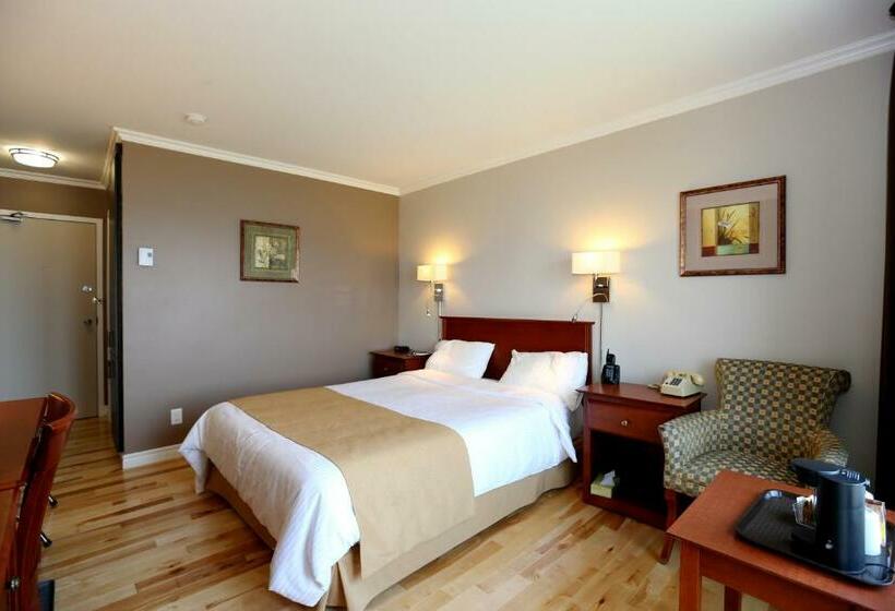 스탠다드 룸, Auberge Des Battures