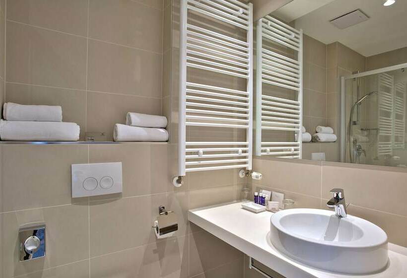 اتاق استاندارد, Park Plaza Belvedere Medulin
