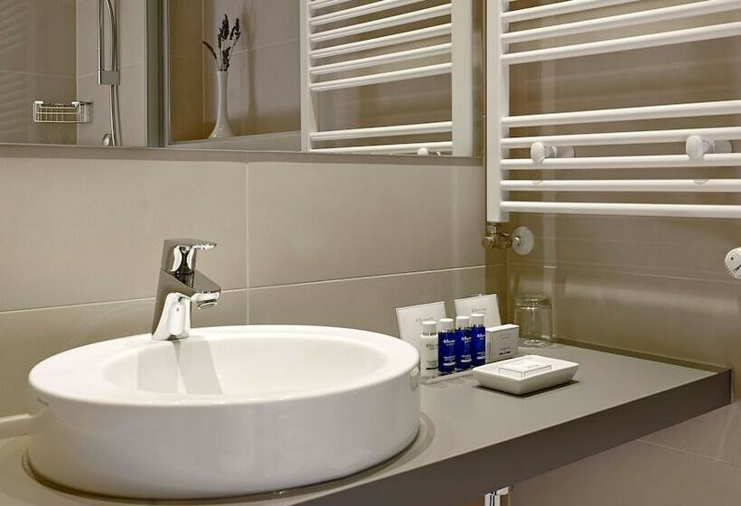 اتاق استاندارد, Park Plaza Belvedere Medulin