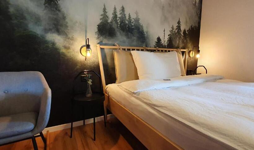 Номер Стандарт Индивидуальный, Schorta S Hotel Alvetern
