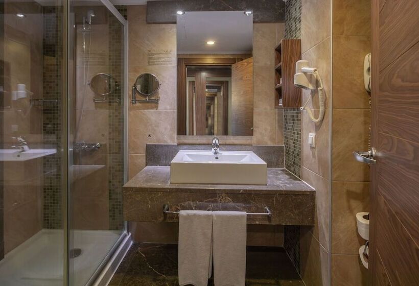 اتاق استاندارد, Kolin Hotel Spa & Convention Center