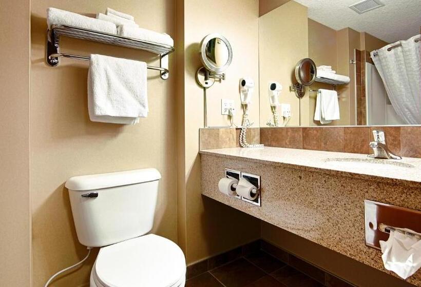 Стандартный Номер Кровать Кинг, Best Western Diamond Inn