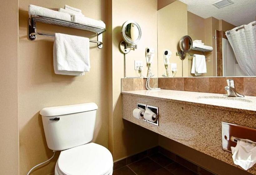 Стандартный Номер Кровать Кинг, Best Western Diamond Inn