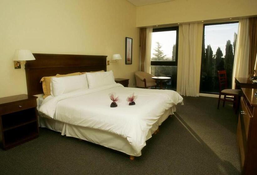 스탠다드 룸 더블 침대 2개, San Miguel Plaza Hotel All Inclusive